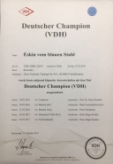 champion-vdh