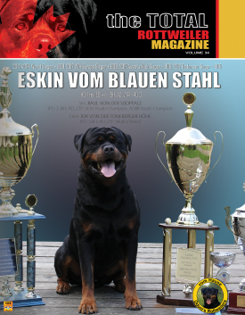 Eskin-cover-volume-34