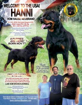 Hanni-volume-37