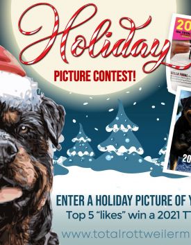Holiday-picture-contest