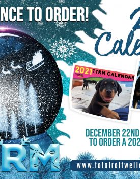 Last-chance-calendar