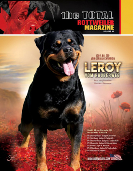 Leroy-Volume-43