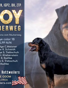 Leroy-half-page-ad-volume-43