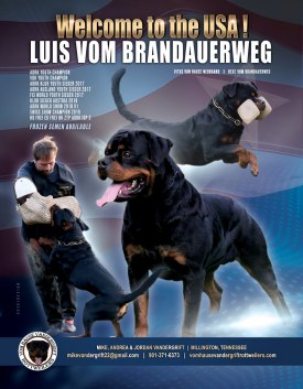 Luis-Mikes-kennel-name-volume-40