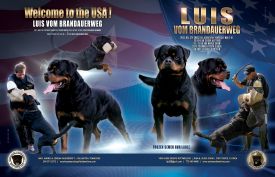 Luis-Volume-40-2-pages-together