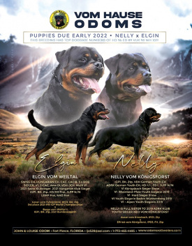 Nelly-and-Elgin