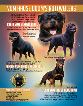 Eskin-Farina-Julia-volume-35