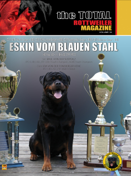 Eskin-cover-volume-34