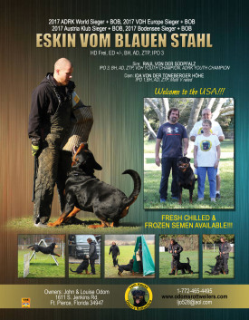 Eskin-full-page-volume-34