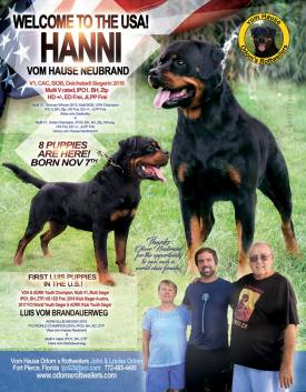 Hanni-volume-37