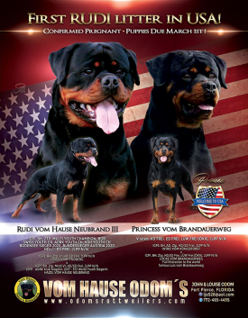 Rudi-x-Princess-Volume-43